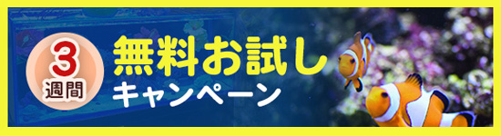 3週間無料お試しキャンペーン