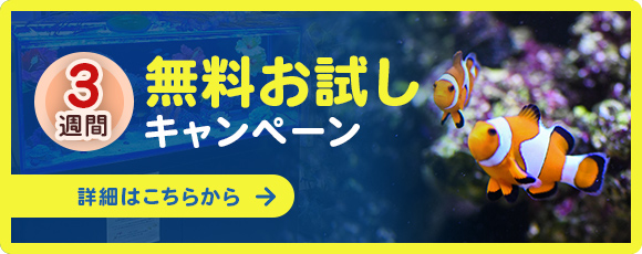 3週間無料お試しキャンペーン